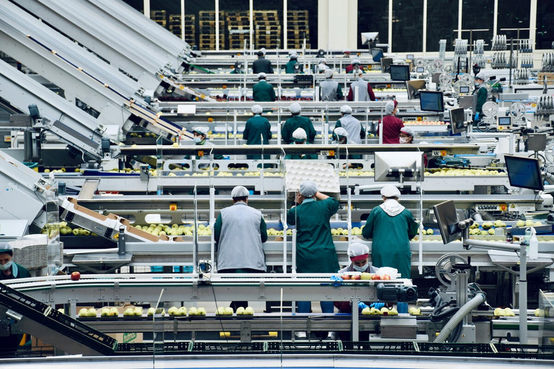 AI Productivity Boom: Why GDP Data Tells a Different Story