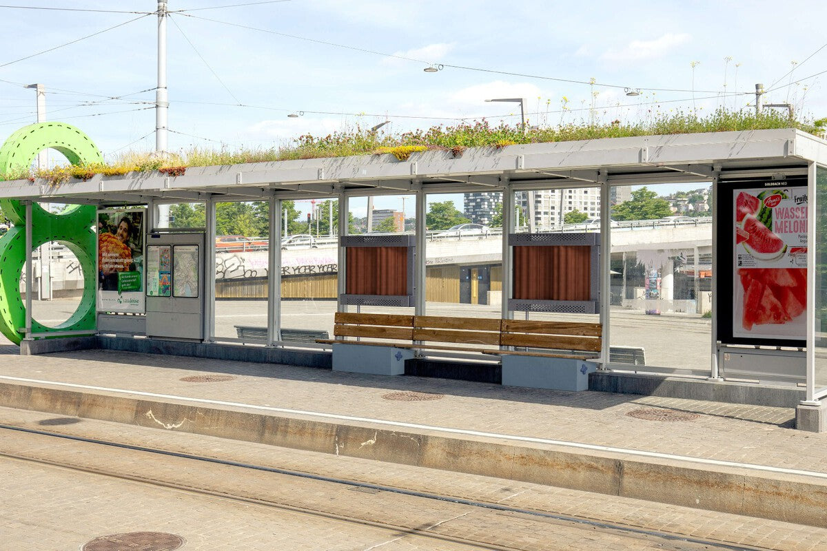 Urban Heat Islands: How Smart Tree Planting Cools Cities
