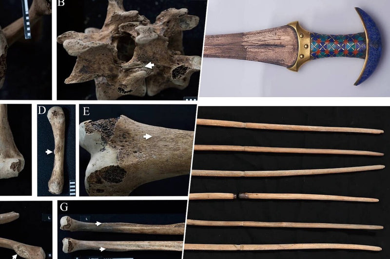 Ancient Egyptian Princesses Used Weapons, Bone Study Reveals
