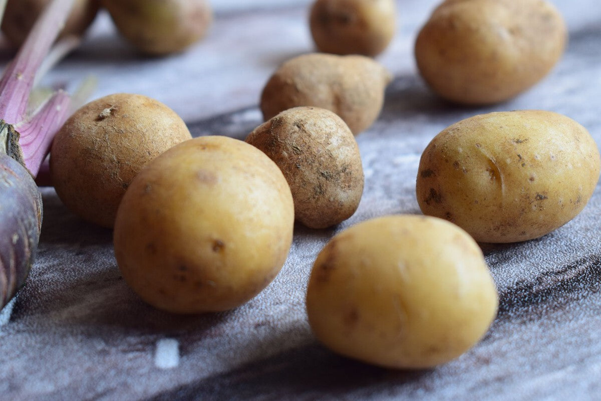 Potatoes in the Fridge: New Study Says Cold Storage Keeps Them Fresh