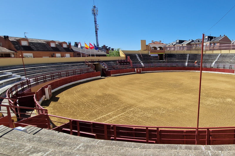 Spanish Towns Bet on Where a Bull Will Poop in Quirky Contest