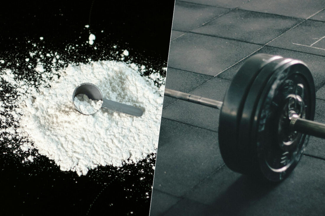 Creatine for Muscle Gain: New Study Questions Its Effectiveness