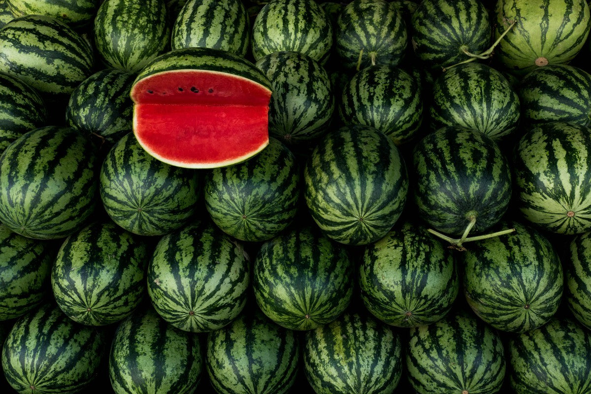 Spain's Watermelon Crisis: Moroccan Imports Sink Local Prices