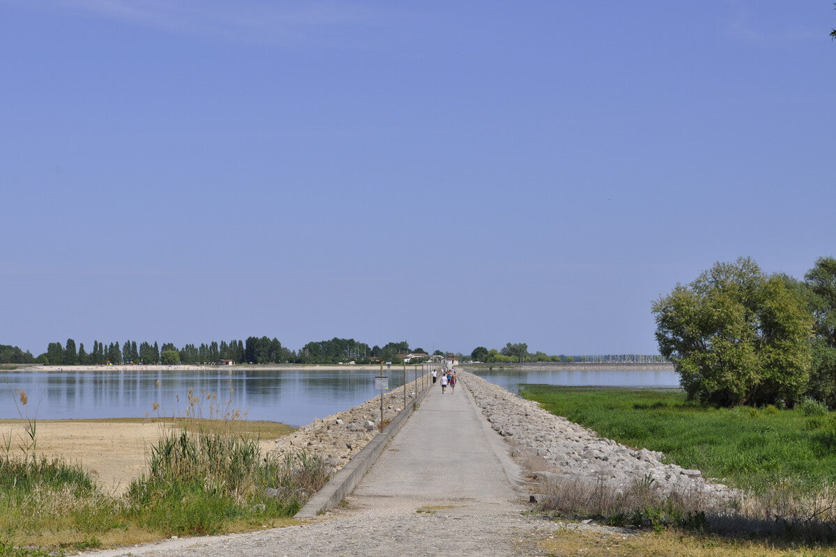 Lac du Der: The Artificial Lake That Flooded Three French Villages