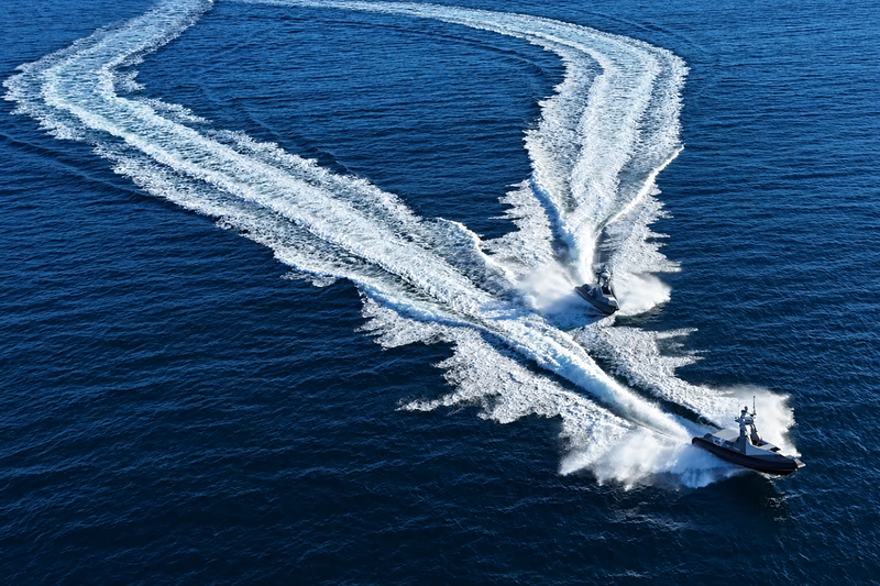 Zelenza's Dual Future: IT Services vs. Unmanned Naval Drones