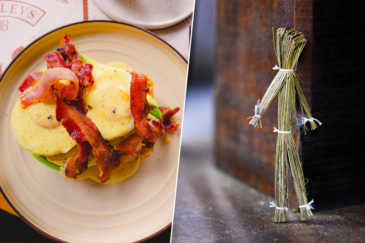 Barcelona Brunch Empire Faces Neighborhood Backlash