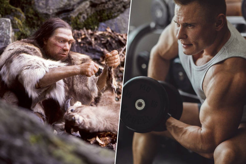 Neanderthal Genes May Boost Muscle Growth in Modern Humans