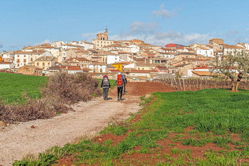 Volunteer in Asturias: Free Stay for Camino de Santiago Hosts