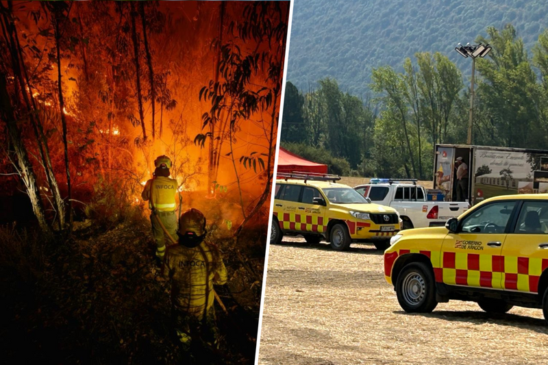 Spain's Summer Wildfires Expose Gaps in Prevention Rules