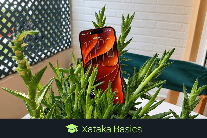 iOS 27 Update: Essential Tips Before You Upgrade Your iPhone