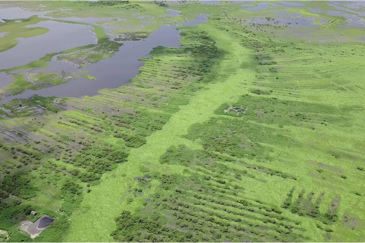 Ancient Zenú Engineering in Colombia Visible From Space