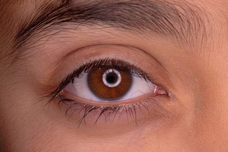 Human Eye Evolution Tied to 600-Million-Year-Old Cyclops Worm