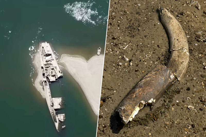 Danube River Drought Hits Record Lows, Exposing WWII Ships and Mammoth Bones