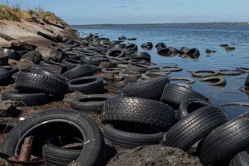 Old Tires in Concrete Canals Boosted Fish 20-Fold in Artificial Reefs