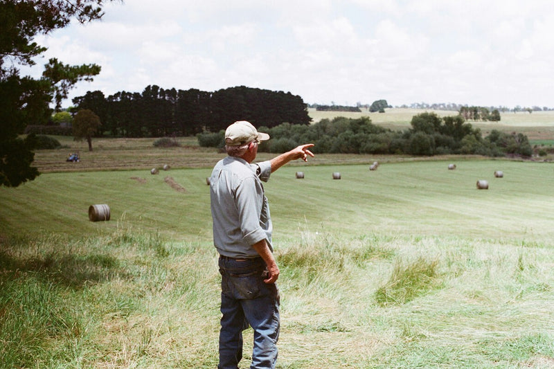 No-Till Farming: How One Farm's Bold Move Is Revolutionizing Agriculture