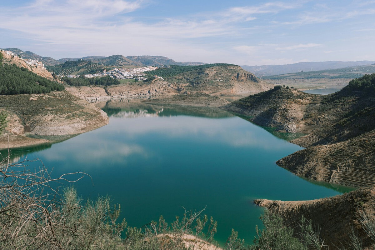Invasive Catfish Wiped Out 76% of Fishing at Spain's Largest Reservoir