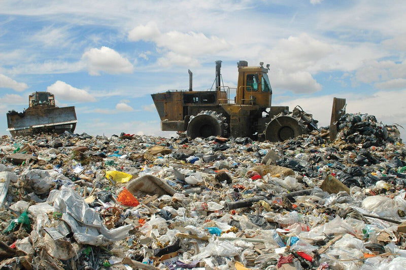 Landfill Solar: 1,900 Panels Power New Haven's Closed Dump