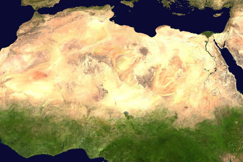 Africa's Great Green Wall: 100 Million Trees and Counting