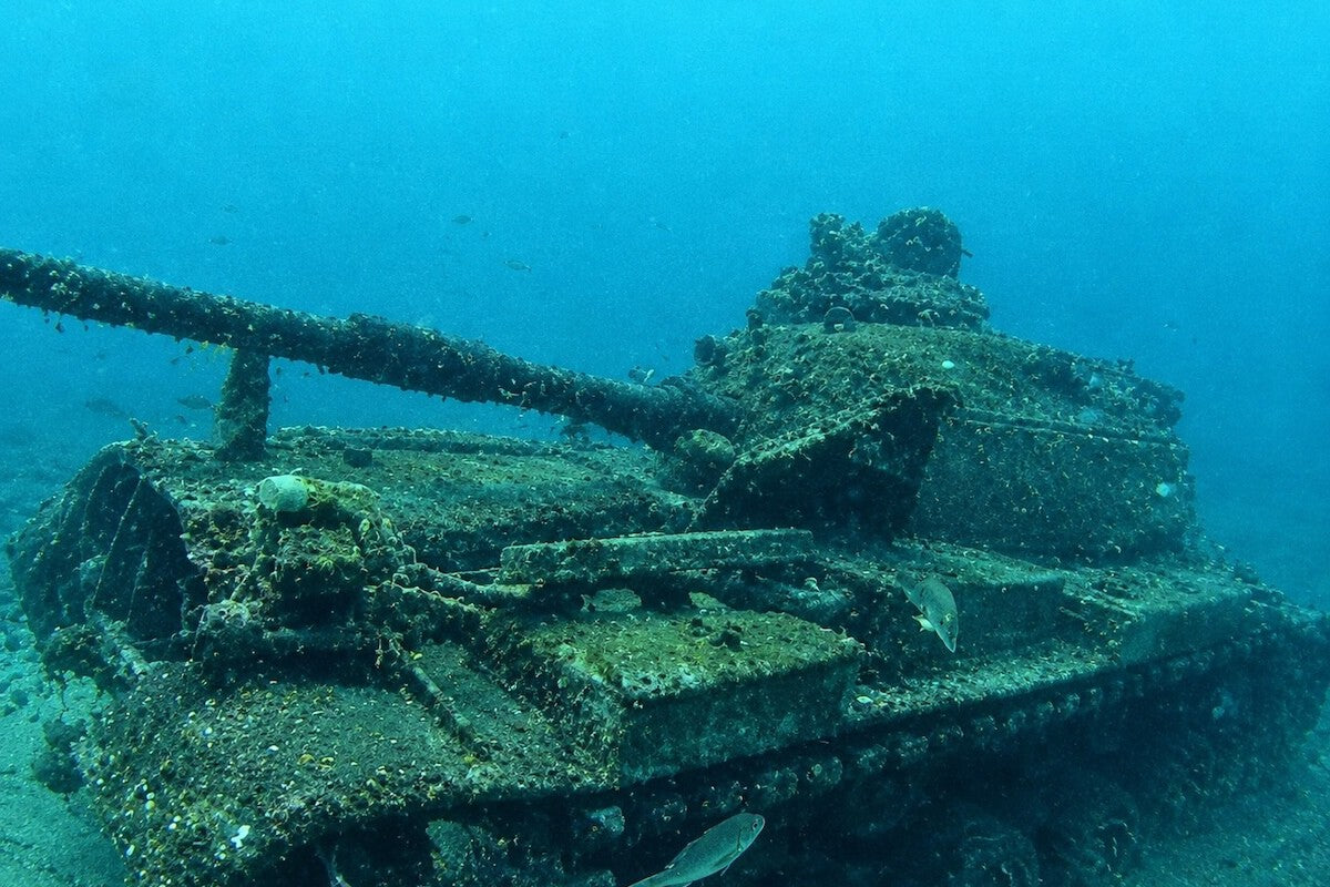 Sunken Tanks Create Thriving Artificial Reefs in Gulf of Mexico