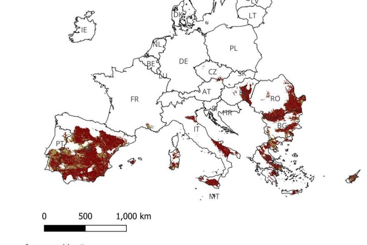 Desertification in Europe: Half of Spain at Risk, New Map Reveals