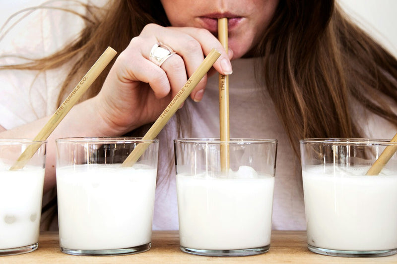 The Surprising History of Milk: From Ancient Taboo to Modern Staple
