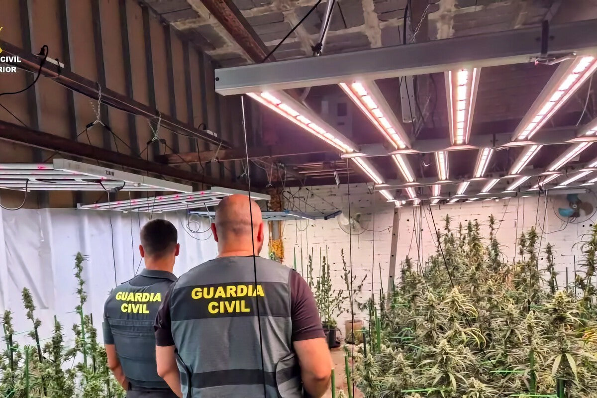 Guardia Civil Busts 391-Plant Marijuana Indoor in Rented Madrid Chalet