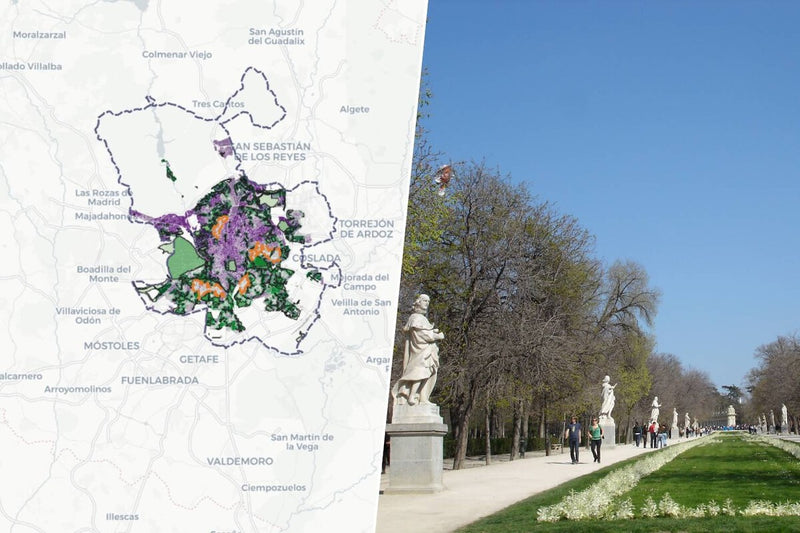 Spanish Cities Fall Short on Green Space and Shade