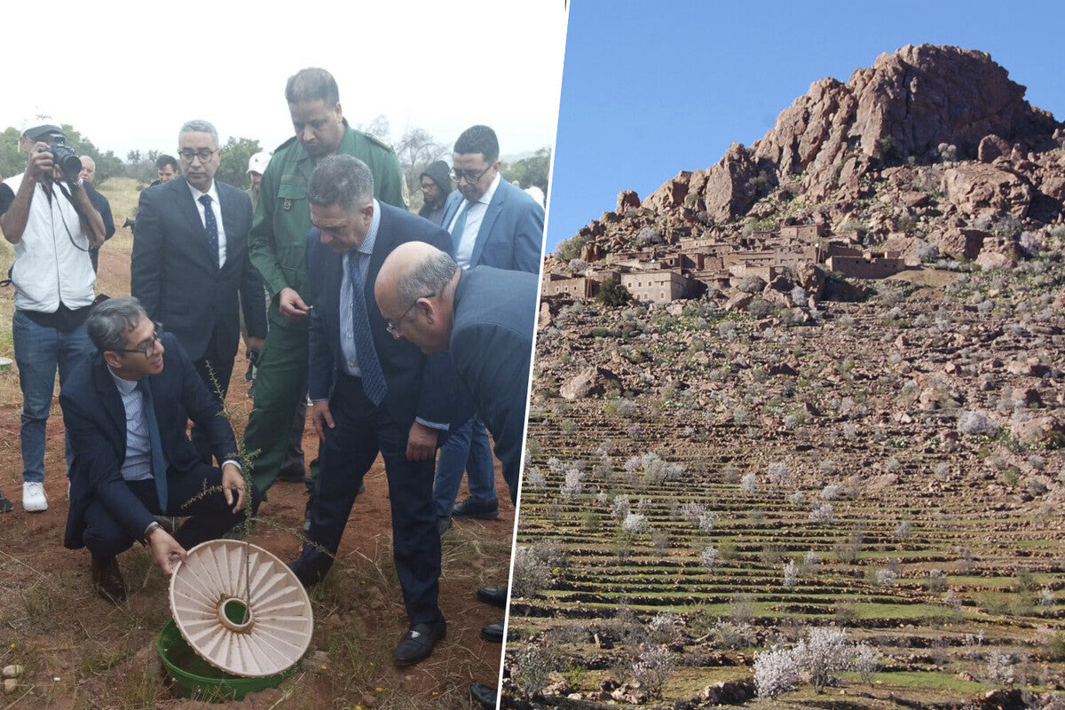 Morocco's Waterbox Reforestation Project Gains 1,200 Hectares