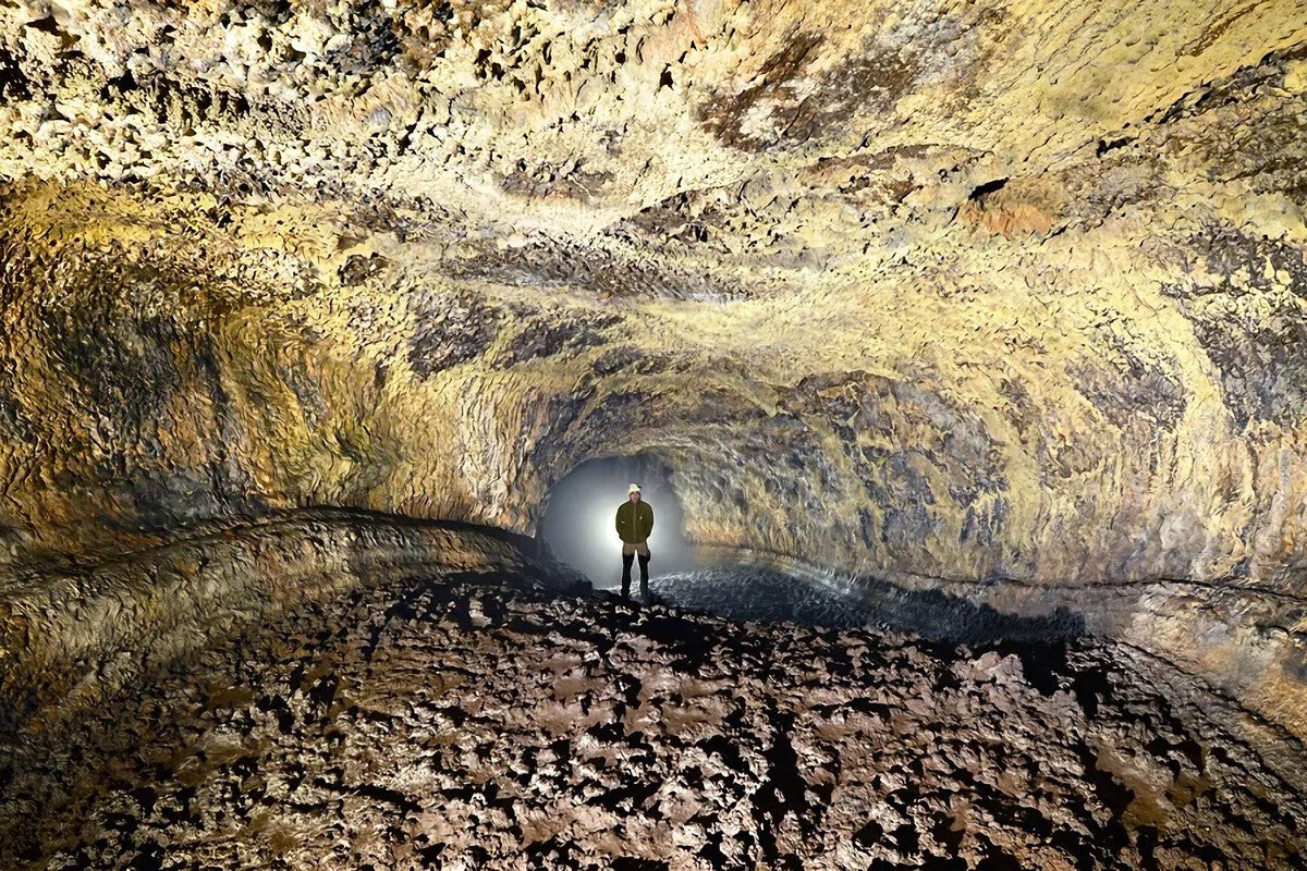 Cueva del Viento: Tenerife's 27,000-Year-Old Lava Tube With 190 Species