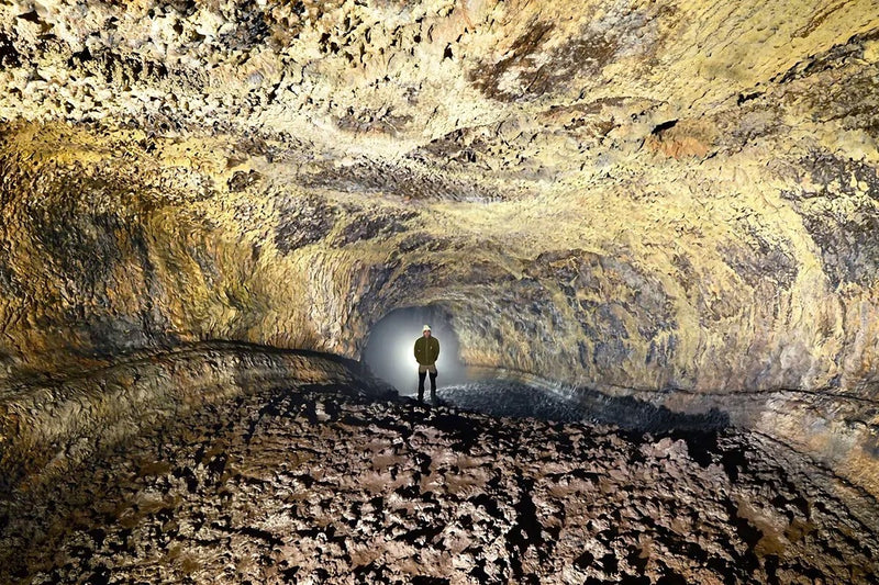 Cueva del Viento: Tenerife's 27,000-Year-Old Lava Tube With 190 Species