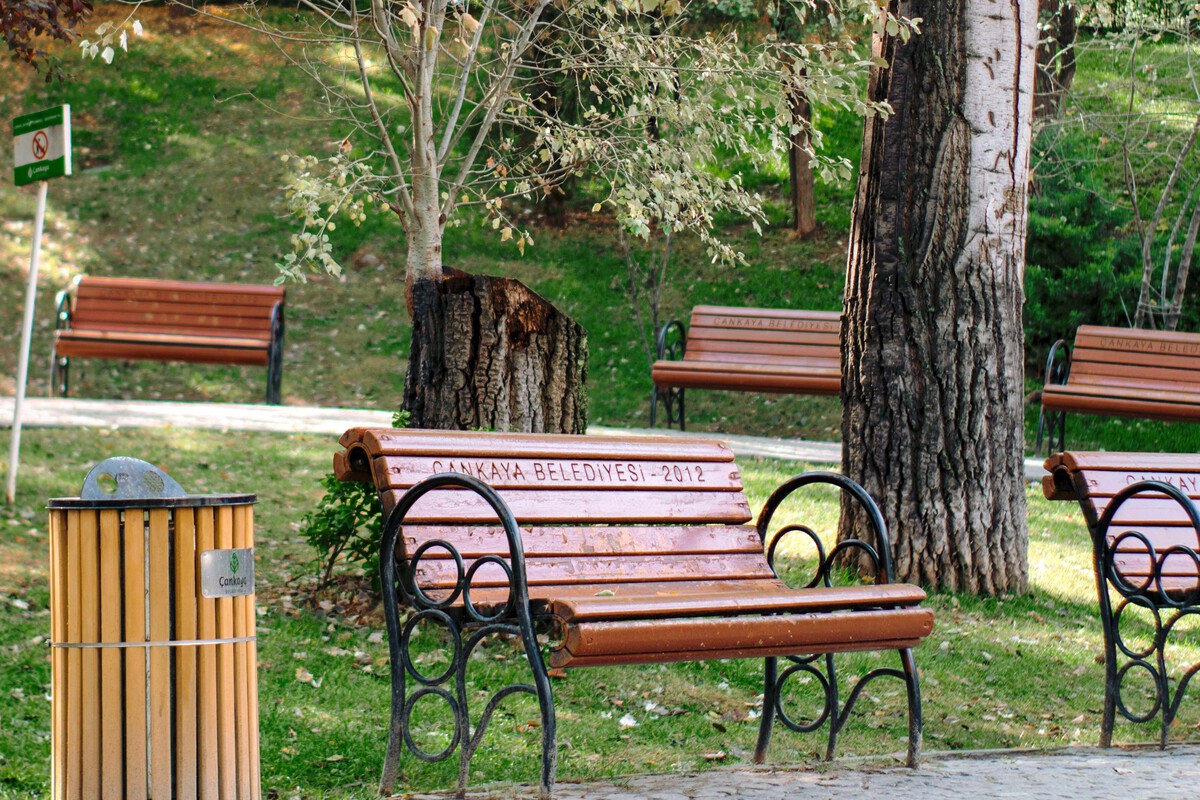 Mataró Resident Fined €1,733 for Planting Trees and Fixing Street
