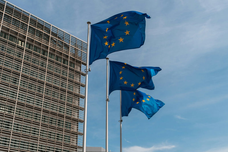 EU Joint Energy Purchasing: Europe's Bold Move to Buy Power as One Country