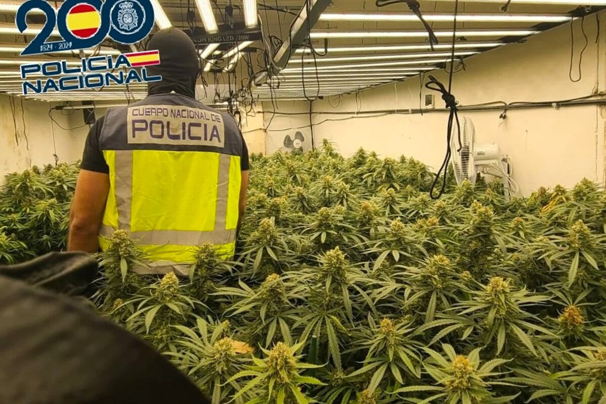 Basque Court Acquits Two Men in Cannabis Trafficking Case Over Stem-Weight