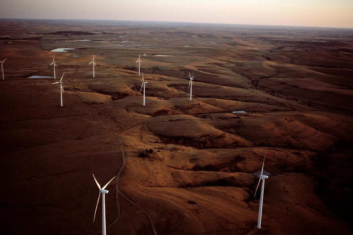 Kansas Farmer Installs Wind Turbines Among Cows and Strikes It Rich