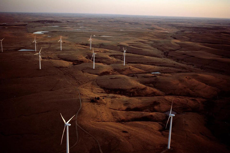 Kansas Farmer Installs Wind Turbines Among Cows and Strikes It Rich