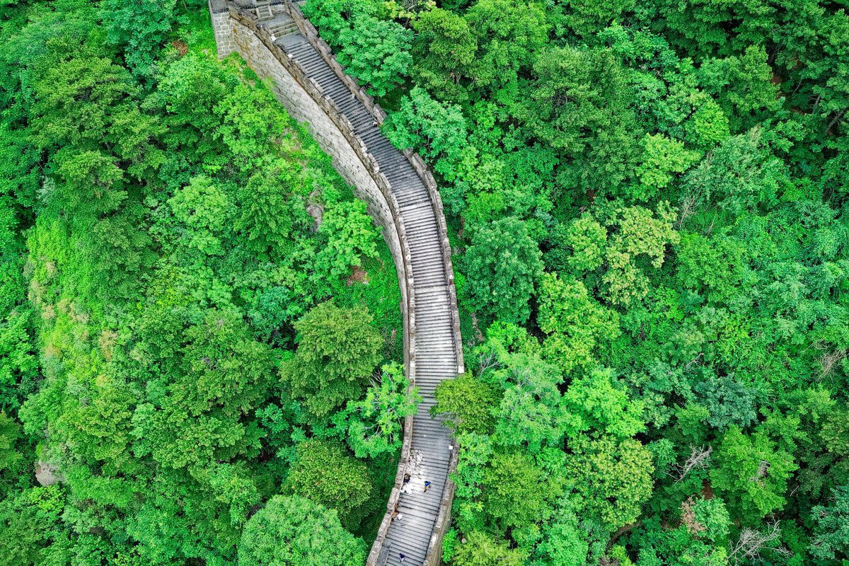 China's Great Green Wall: Tree Planting and Water Crisis