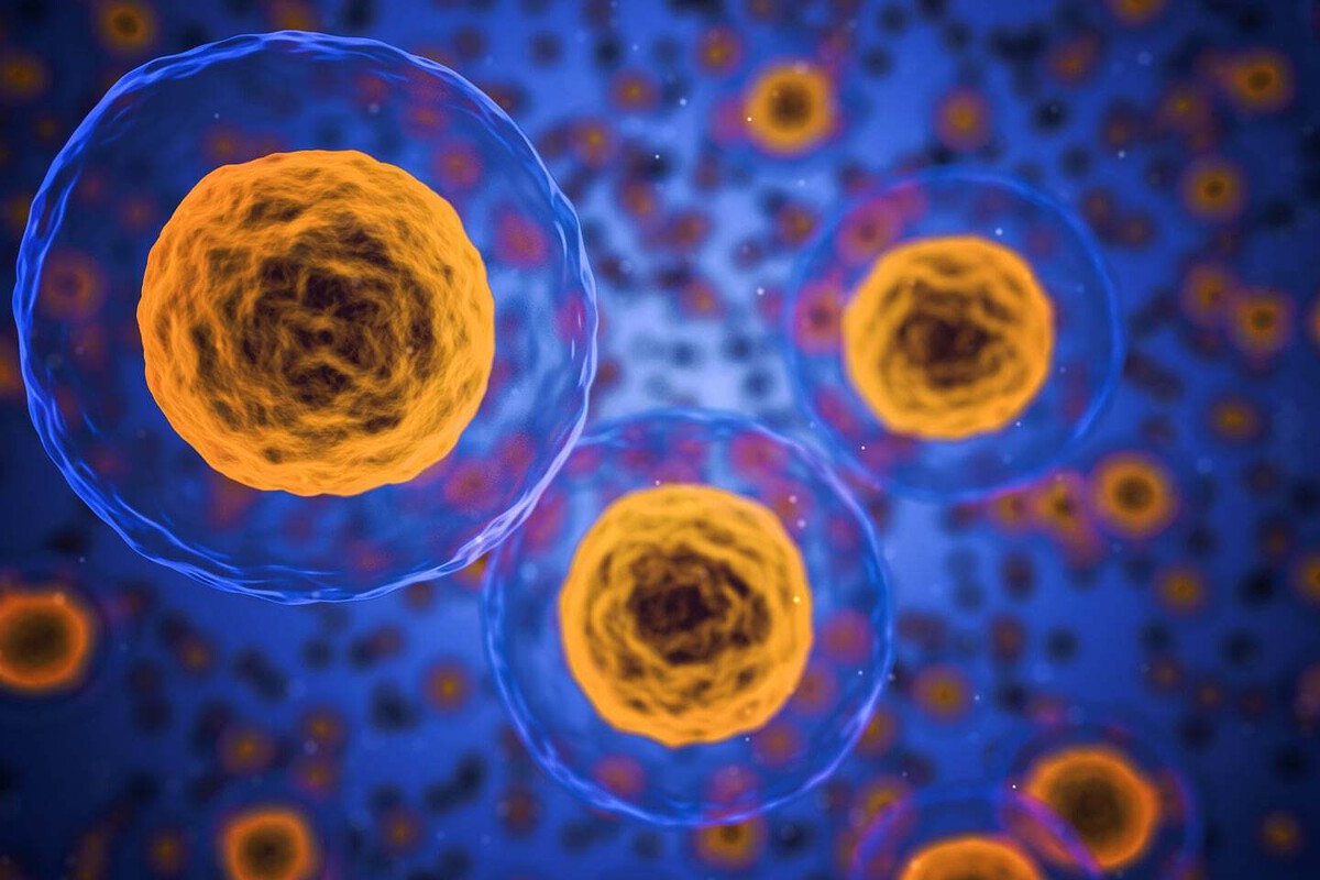 Zombie Cells and Aging: How Scientists Plan to Eliminate Them – Grand ...