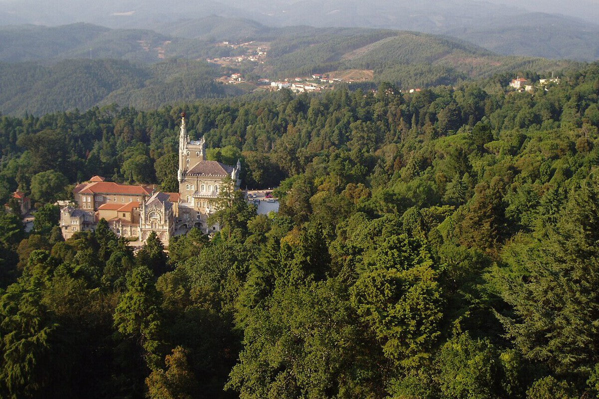 Bussaco Forest: Iberia's First Therapeutic Forest Certified