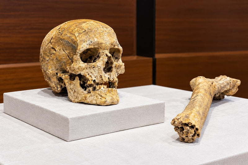 8,000-Year-Old Cave Man Found in Asturias: His Diet Revealed