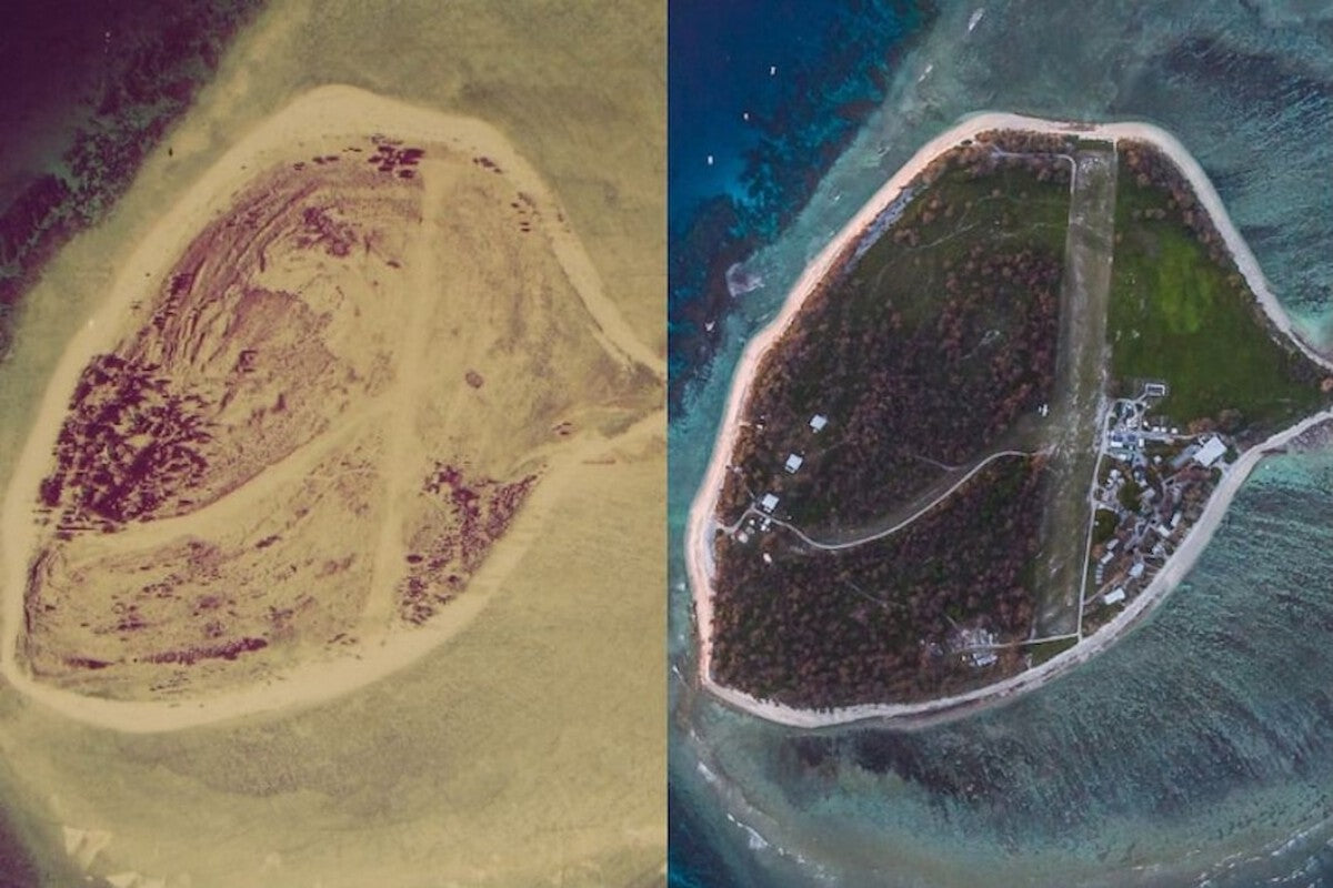 Lady Elliot Island: From Guano Wasteland to Coral Paradise