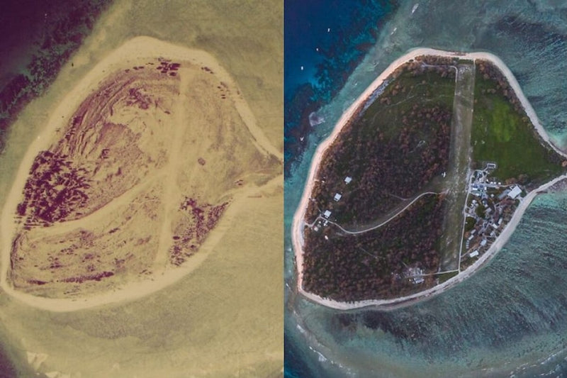 Lady Elliot Island: From Guano Wasteland to Coral Paradise