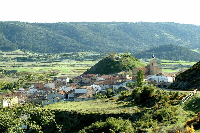 Bakery for 100 Euros a Year: Teruel Town Seeks Baker