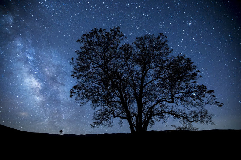 Stephen Hawking's Cosmic Quote: A Profound Reflection on Human Curiosity