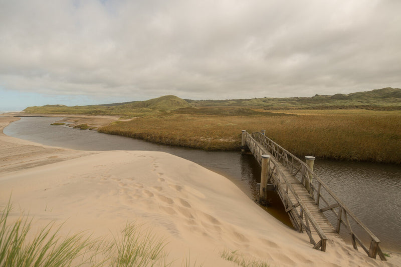 Global Rivers Are Running Out of Sand: The Looming Crisis