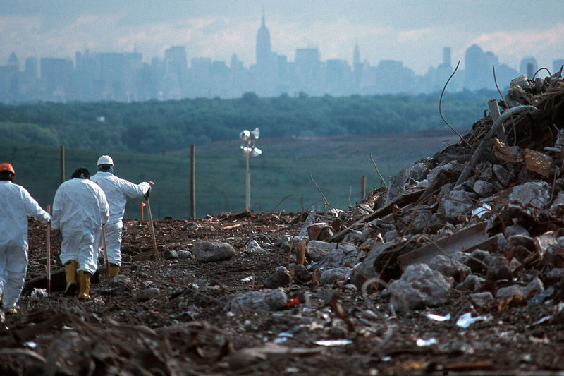 Fresh Kills: New York's 53-Year Landfill Becomes a Massive Park