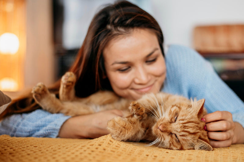 Cat Ownership: How Feline Hormones Sync With Yours