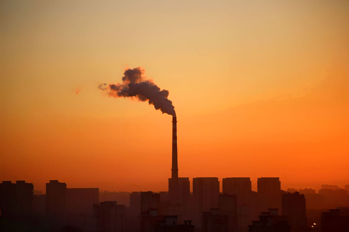 Over 80% of Spaniards Breathe Polluted Air, Greenpeace Says