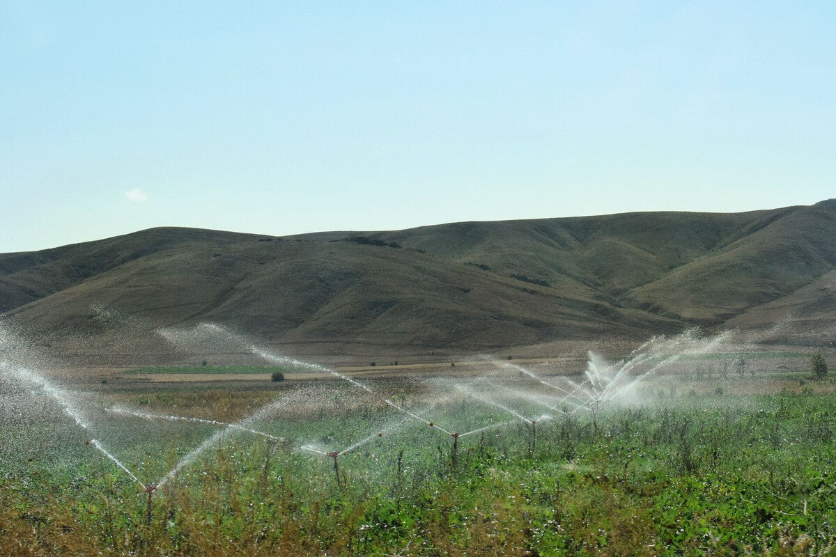 Spain's Illegal Irrigation: 80,000 Hectares of Crops Using Stolen Water
