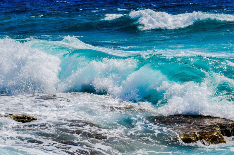 Marine Protected Areas Fall Short of Ocean Conservation Goals