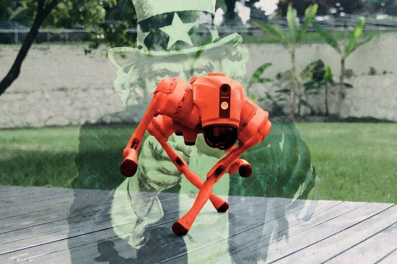 Unitree's Rise in Robotics Has an Unexpected Backer: the US Army
